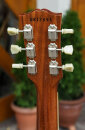 Tokai LS385S-Cm 1/Classic Brass Powder Gold Top  2008 #H97