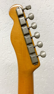 Tokai Breezysound TE70 PR Paisley 1983 #J91
