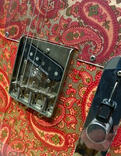 Tokai Breezysound TE70 PR Paisley 1983 #J91