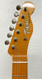 Tokai Breezysound TE70 PR Paisley 1983 #J91