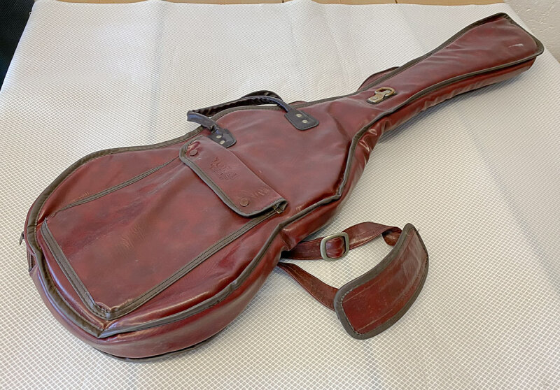 Vintage 2025 gig bag