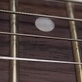 STCL VW           Faber Strat, Basswood body, Canadian Hard Rock Maple Neck  #1