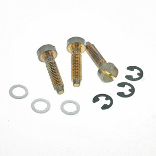 SS-GA (3pcs.) 	Faber Saddles Replacement screw, Brass, gold plated, aged